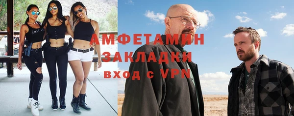 индика Алексин