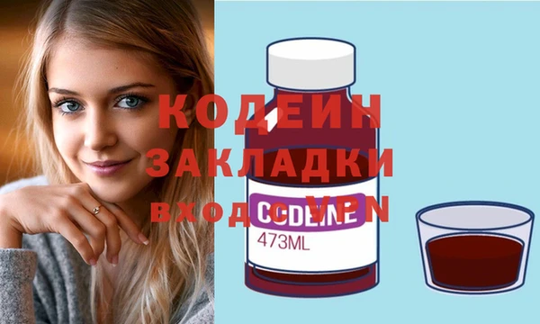 индика Алексин