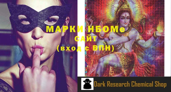 индика Алексин