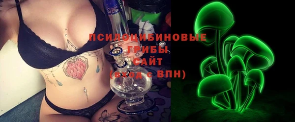 индика Алексин