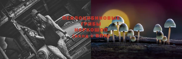 сатива Алексеевка
