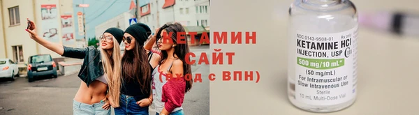 индика Алексин