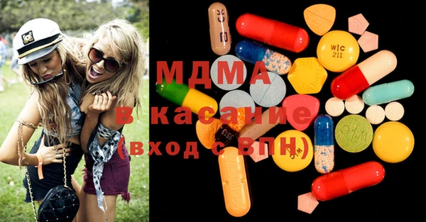 индика Алексин