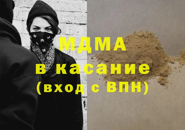 индика Алексин