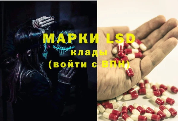 индика Алексин