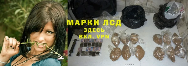 индика Алексин