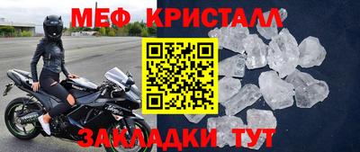 прущие грибы Бердск