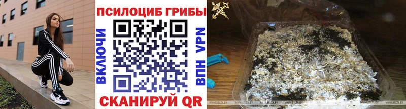 купить наркотик blacksprut зеркало Галлюциногенные грибы мицелий Алексин