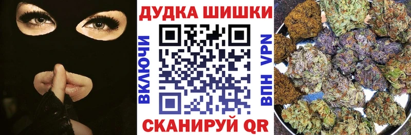 продажа наркотиков  Алексин  mega ССЫЛКА  Бошки марихуана сатива 